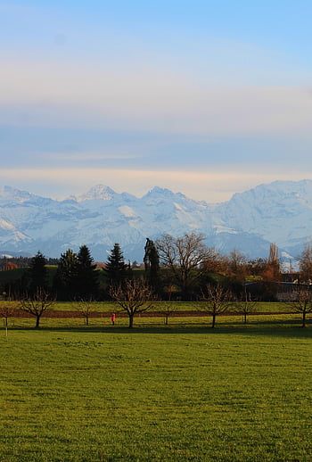 Alpi, Canton Berna, rurale, montagne, paesaggio, alberi, natura, Berna, Svizzera