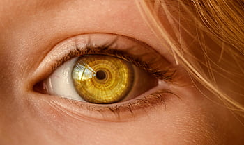 lidské oko, detail, Golden Iris, odraz spirály, detailní, makro fotografie, oční anatomie, Unikátní duhovka, oko detailní, anatomie člověka, Oční detail