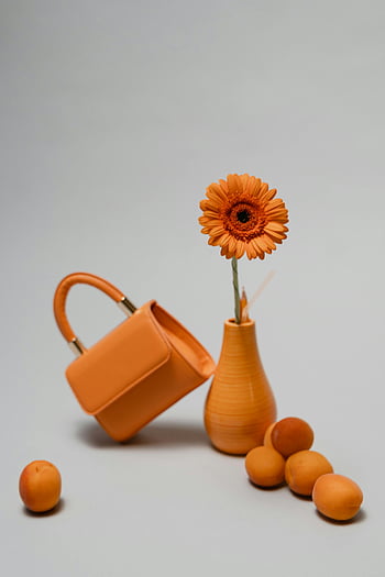 orange handbag, vase, gerbera, fruits, minimalist composition, orange flower, still life, modern art, decorative objects, orange accessories, orange decor