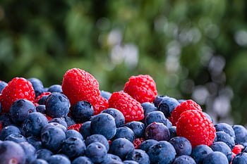 framboises, myrtille, fruit, la mûre, aliments, Frais, baie, rouge, bleu, mignonne, délicieux