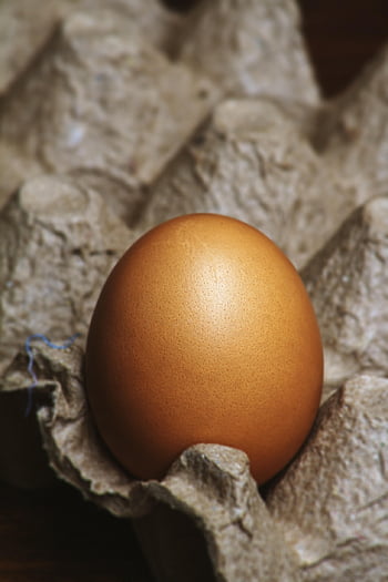 eggs, ingredients, baking, food, egg Carton, raw, cooking, healthy, eggshells, protein, whisk