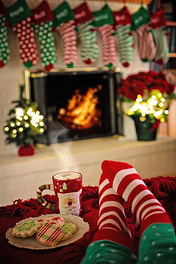 christmas, decoration, cookies, holidays, christmas Cookies, hot Chocolate, hot Cocoa, relaxing, relax, cozy, living Room