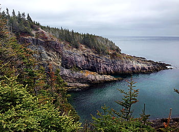 newfoundland, avalon, poloostrov, pobřeží, skalnaté pobřeží, scénický, Skála, stromy, les, Příroda, scenérie