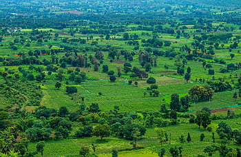 kleurwedstrijd, landschap, groen, natuur, reizen, exploratie, buitenshuis