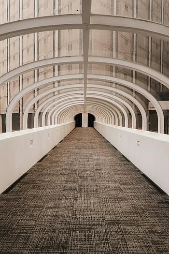 modern indoor walkway, architectural design, tunnel walkway, unique architecture, see-through design, building connection, modern architecture, indoor bridge, campus architecture