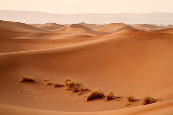 poušť, sahara, duny, písek, horký, marocký, písečné duny, neplodný, neplodná krajina, suchý, krajina