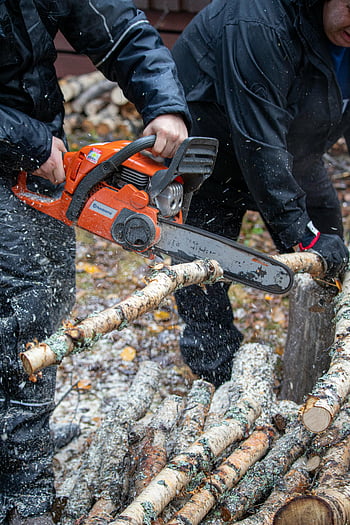 lumberjack, sawing, birch branch, protective workwear, chainsaw, woodworking, outdoor activity, tree cutting, forestry, logging, teamwork