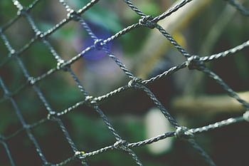 black net, close-up, wire fence, outdoor, artistic bokeh, detailed view, netting, fence detail, bokeh effect, outdoor net, wire mesh