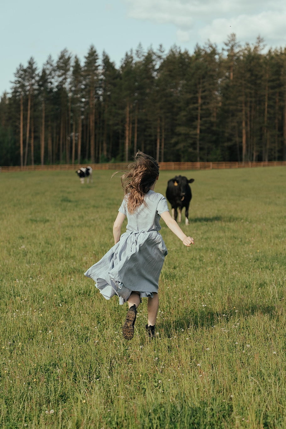 child, girl, pasture, freedom, play, rural, farm, field, outdoors, nature, love