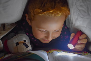 lettura, letto, torcia elettrica, libro, leggere, imparare, pagina, coperta, forte, divertimento, animale impagliato