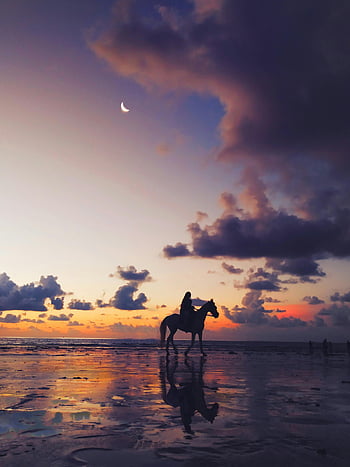 sunset horse riding, silhouette rider, twilight sky, Mumbai beach, horse silhouette, beach sunset, twilight beach, rider silhouette, sunset silhouette, beach horse riding, twilight horse