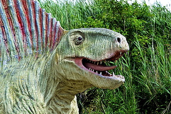 dinosaurio, dino, reptil, escultura, jurapark, jurásico, evolución, mamífero, krasiejów, fósil, salvaje