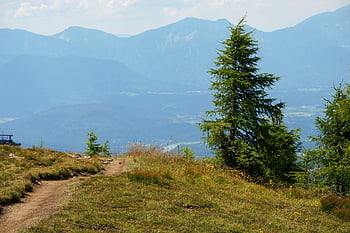 hory, stezka, stromy, tráva, Alpy, sníh, Příroda, panoráma, krajina, landschaft, alpin