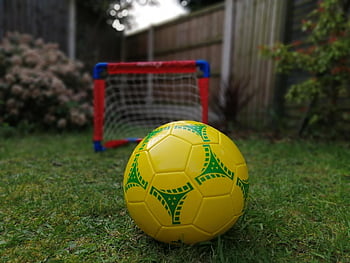 labda, kert, fű, futball, alkalmasság, gyakorlat, játék, kiképzés, természet, mező, Sport