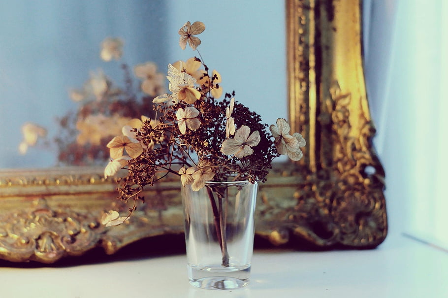 Vintage zrcadlo, sušené květiny, hortenzie, stálý život, hortensia, Domov, miror, dekorace, nálada, podzim