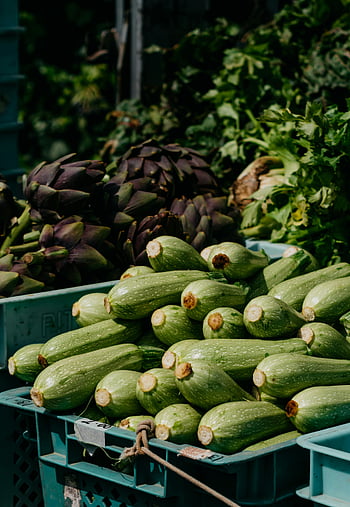 zucchinis, artichokes, plastic crates, farmers market, fresh organic, vegetables, produce, green zucchinis, purple artichokes, market display, organic produce