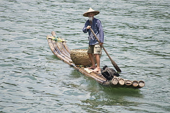 china, cormorant, lijiang River, fishing, traditional, guilin, li River