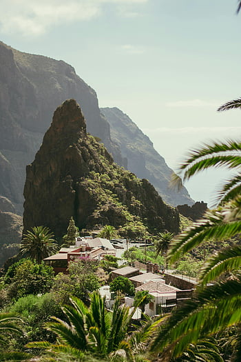 Masca Village, tenerife, isole Canarie, Spagna, paesaggio pittoresco, vista delle montagne, scenario tropicale, palme, impostazione rurale, destinazione del viaggio, bellezza naturale
