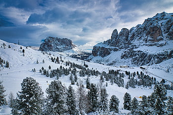 trees, forest, nature, woods, snow, dolomites, sella, val Gardena