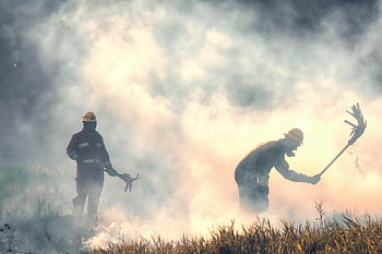 firemen, fire, smoke, rescue, brave, hero, grass Fire, forest Fire, dangerous, job, douse
