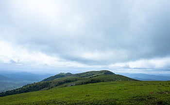kleurwedstrijd, landschap, Bos, natuur, reizen, exploratie, buitenshuis