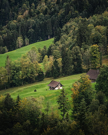 case sul pendio, paesaggio rurale, pittoresche case di legno, verde lussureggiante, alberi, colline, vista panoramica, campagna, foresta, cabina, natura