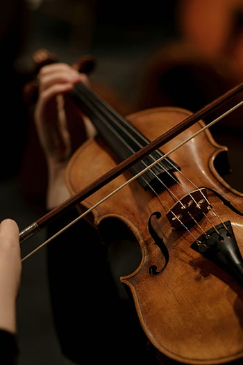 violin, playing violin, violin bow, hands playing violin, detailed shot, violin strings, dim setting, musical instrument, close-up, musician, classical music