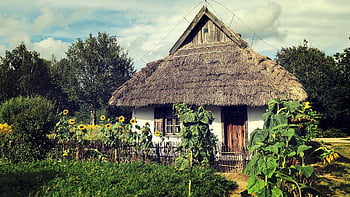 chalupa, skanzen, Polsko, muzeum, architektura, památník, starý, srpen, budova
