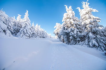 winter Landscape, tracks In The Snow, winter, snow, snow Landscape, winter Forest, snow Trail, snowy, ore Mountains, fichtelberg, cold