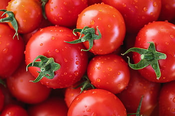 Tomaten, Gemüse, frische Tomaten, gesund, Nahrung, Färben, Farbwettbewerb
