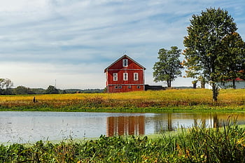 red barn, serene pond, lush fields, rural escape, Ohio countryside, charming barn, natural landscape, peaceful setting, farm scene, countryside charm, rural life