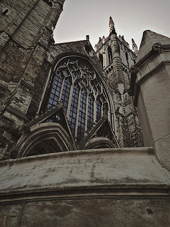 gothic cathedral, low angle shot, intricate windows, stonework, gothic architecture, majestic view, gothic themed, architectural detail, cathedral windows, gothic design, gothic style