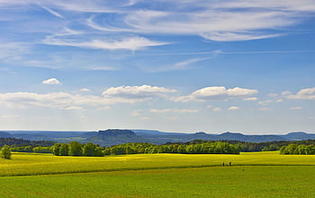 hills, landscape, saxon Switzerland, hill, hilly, field Of Rapeseeds, hike, walker, mountains, rock Formations, expanse