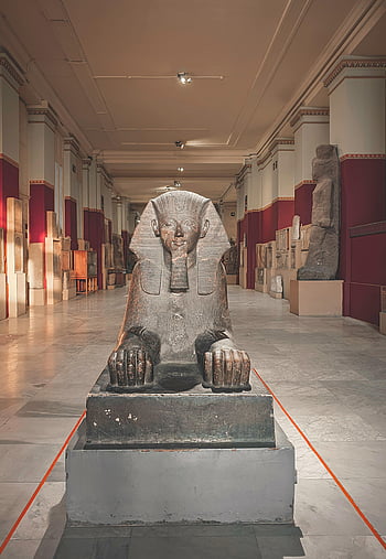 Sphinx statue, Egyptian museum, ancient monument, history museum, detailed view, hallway exhibit, Egyptian art, historical artifact, cultural heritage, ancient Egypt, museum display