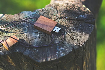 Dřevěný USB flash disk, pařez, přírodní pozadí, USB disk, Dřevěný flash disk, venkovní nastavení, šetrné k životnímu prostředí, technologie, přírodních materiálů, USB úložiště, texturu dřeva