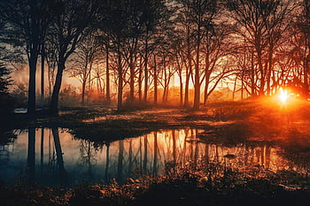 ai Generated, fantasy, painting, sunset, lake, trees, forest, autumn, travel, exploration, nature