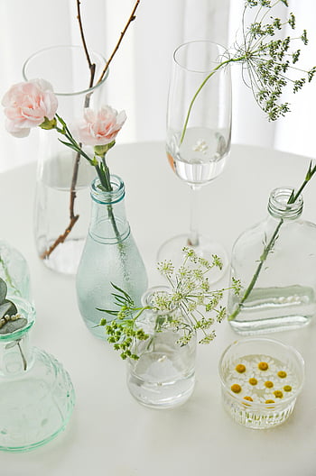 fiori in vasi, vasi di vetro trasparente, tavolo bianco, luce naturale, fiori delicati, elegante scena minimalista, arredamento minimalista, composizione floreale, contenitori di vetro, piante d'appartamento, luci soffuse