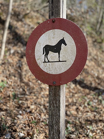 riding Ban, sign, traffic Sign, ban, street Sign, prohibitory, forbidden