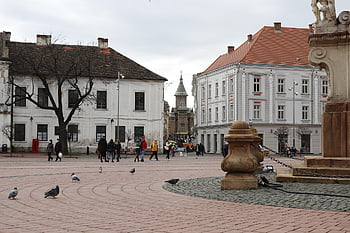 building, liberty Square, city, architecture, romania, piata Libertatii, timișoara, piata, timisoara