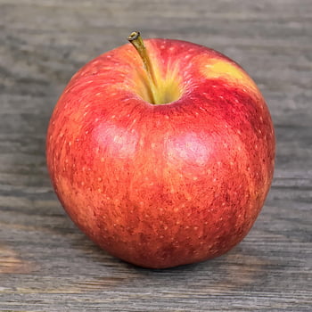 apple, fruit, red Apple, fresh Fruit, fresh Apple, ripe Apple, ripe Fruit, organic Fruit, natural, snack, fresh
