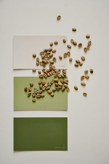 green coffee beans, raw coffee beans, green paper samples, flat lay composition, artistic composition, color samples, harmonious composition, coffee bean art, green color palette, coffee bean photography, coffee bean design
