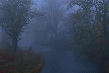 mlha, krajina, voda, šířit, tok, bach, Příroda, vod, brzy, ráno, atmosféra