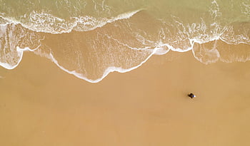 top view, seashore, sandy beach, gentle waves, lone person, walking, drone capture, aerial view, ocean waves, beach scene, coastal view