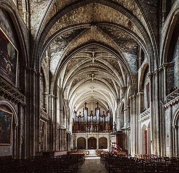 cathedral interior, gothic cathedral, arches, vaulted ceilings, stunning architecture, church interior, religious architecture, historical building, interior design, stone structure, organ