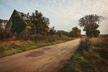 dirt Road, rural, village, nature, landscape, old Town