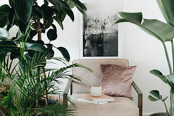 pianta verde, tavolo in legno marrone, beige sedia, piante lussureggianti, arte, NOOK di lettura serena, elegante interno, piante d'appartamento, angolo accogliente, Home decor, Setup soggiorno