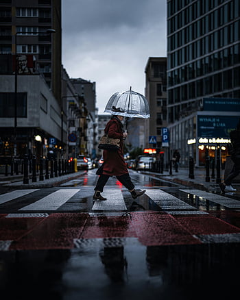 woman, zebra crossing, rainy day, umbrella, Warsaw, Poland, street crossing, cityscape, urban scene, wet pavement, reflection