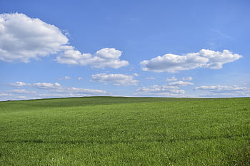 pole, tapeta na zeď, tráva, mac tapetu, Příroda, krajina, Windows tapety, nebe, mraky, krásná tapeta, Tapeta zdarma