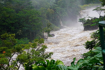 fiume, alluvione, allagamento, disastro, natura, tempesta, bagnato, tempo metereologico, ambiente, picco, fiume verde