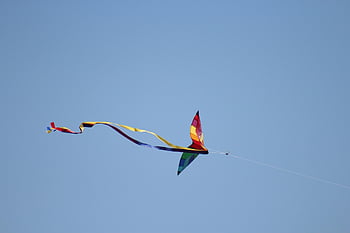 kite, fly, flying, wind, freedom, nature, sky, blue Sky, fun, windy, air